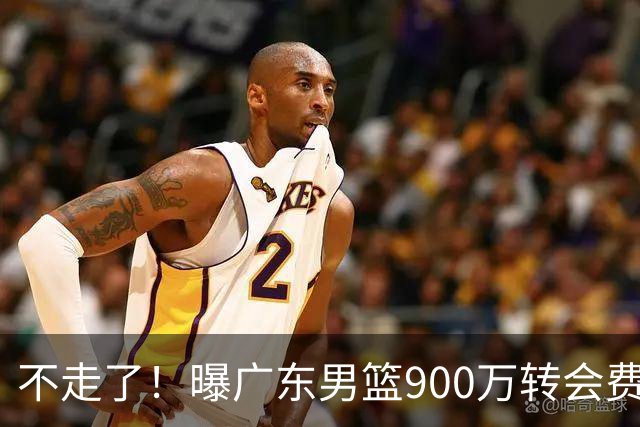 不走了！曝广东男篮900万转会费签下昔日状元内线，杜锋拒绝摆烂